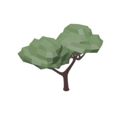 Common Tree 1